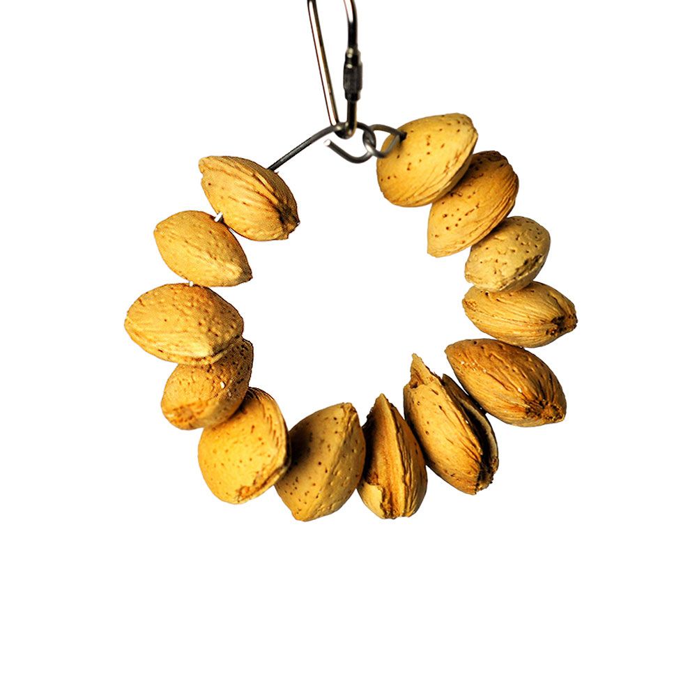HAPPY-BEAKS-TOY-ALMOND-NUT-RING-JR