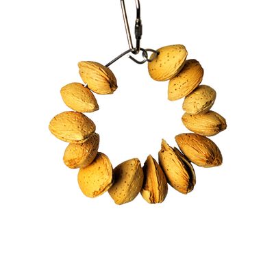 HAPPY-BEAKS-TOY-ALMOND-NUT-RING-JR