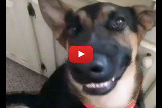 He Loves Showing Off His Pearly Whites!