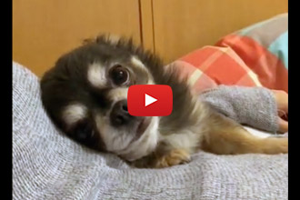 He Really Really Wants Some Love!