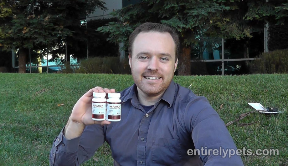 Hepatica Liver Support with Silibin from Milk Thistle