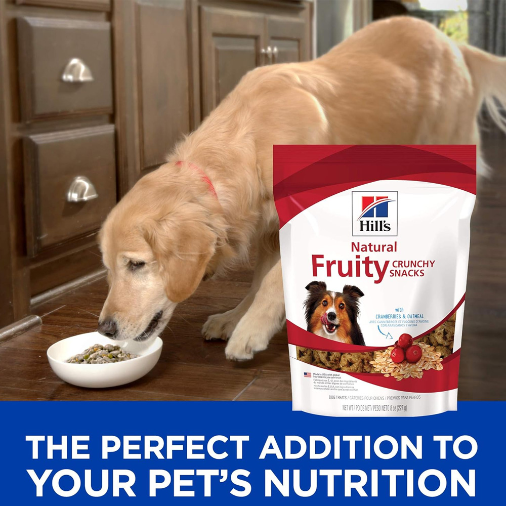 HILLS-FRUITY-CRUNCHY-SNACKS-CRANBERRY-OATMEAL-DOG-TREATS-8OZ