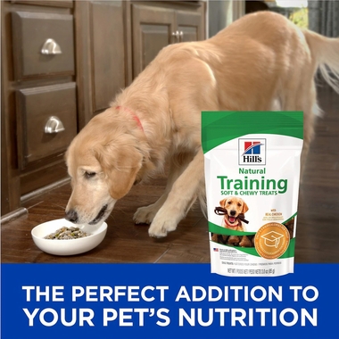 HILLS-NATURAL-CHICKEN-TRAINING-SOFT-CHEWY-DOG-TREATS-3OZ