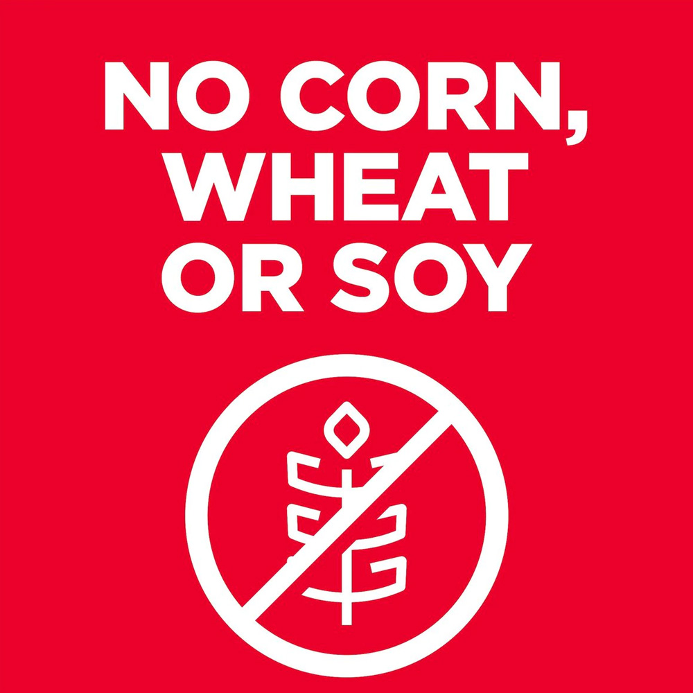 HILLS-SCIENCE-DIET-ADULT-1-5-LG-BREED-CHICKEN-BROWN-RICE-DRY-DOG-FD-30LB