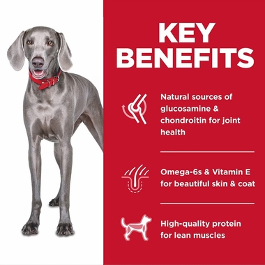 HILLS-SCIENCE-DIET-ADULT-1-5-LG-BREED-CHICKEN-BROWN-RICE-DRY-DOG-FD-30LB