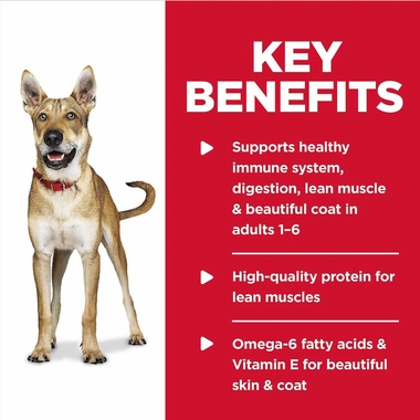 HILLS-SCIENCE-DIET-CHCKN-BRLEY-CAN-DOG-FD-13OZX12