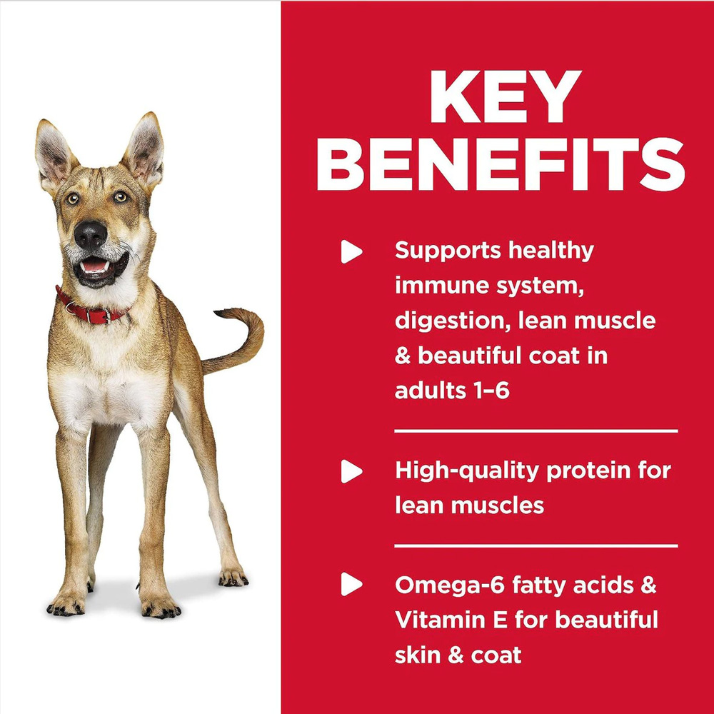 HILLS-SCIENCE-DIET-CHCKN-BRLEY-CAN-DOG-FD-13OZX12