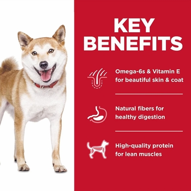 HILLS-SCIENCE-DIET-ADULT-1-6-CHICKEN-BROWN-RICE-DRY-DG-FD-30LB