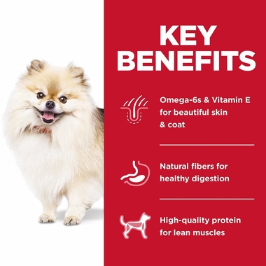 HILLS-SCIENCE-DIET-ADULT-1-6-CHICKEN-BROWN-RICE-SMBITES-DRY-DOG-FD-15LB