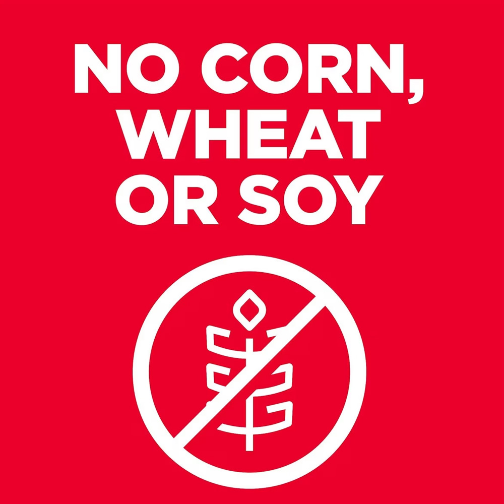 HILLS-SCIENCE-DIET-ADULT-1-6-CHICKEN-BROWN-RICE-SMBITES-DRY-DOG-FD-4LB