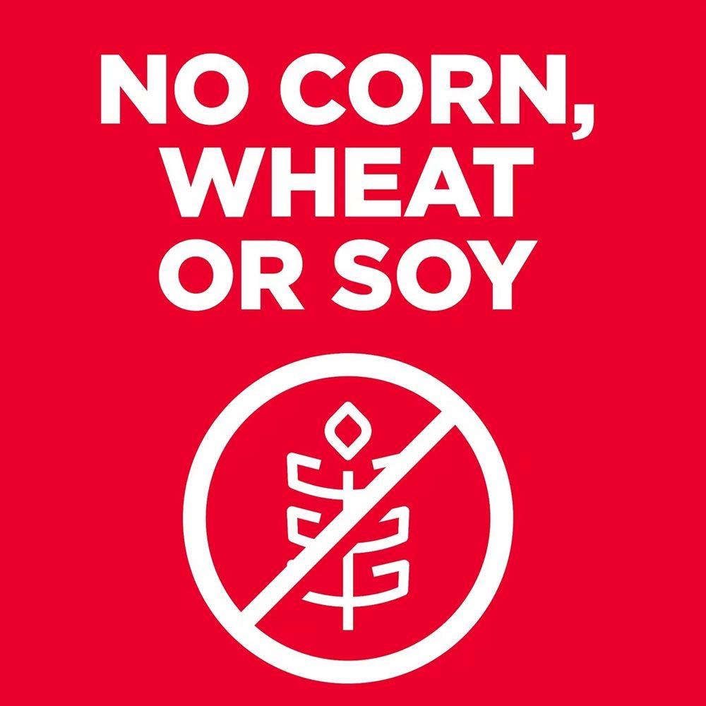 HILLS-SCIENCE-DIET-ADULT-6-LG-BREED-CHICKEN-BROWN-RICE-DRY-DOG-FD-30LB