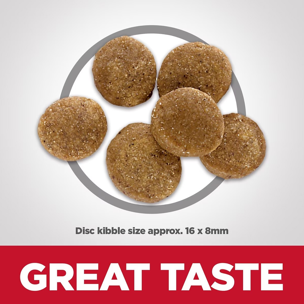 HILLS-SCIENCE-DIET-ADULT-6-LG-BREED-CHICKEN-BROWN-RICE-DRY-DOG-FD-30LB