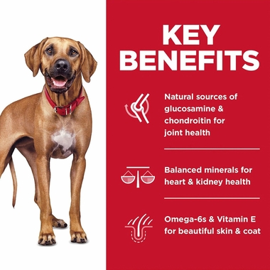 HILLS-SCIENCE-DIET-ADULT-6-LG-BREED-CHICKEN-BROWN-RICE-DRY-DOG-FD-30LB