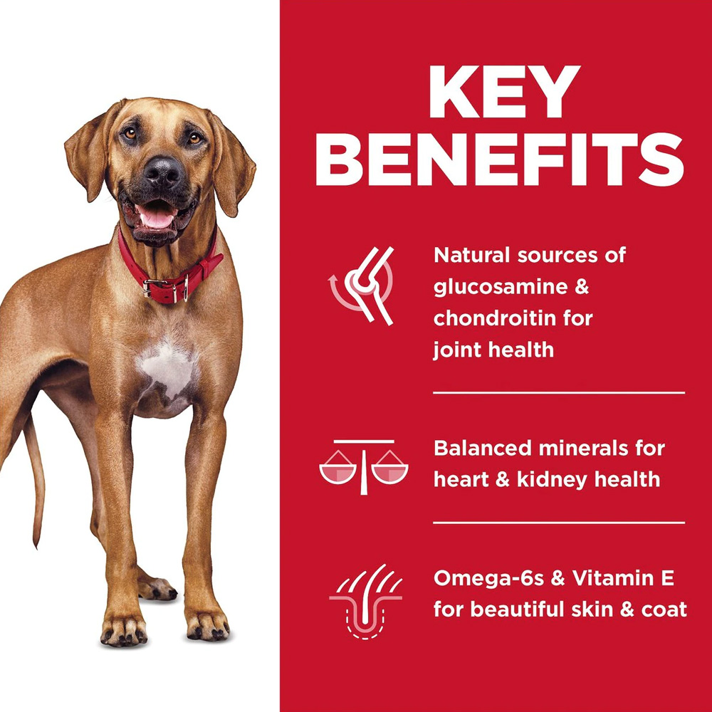 HILLS-SCIENCE-DIET-ADULT-6-LG-BREED-CHICKEN-BROWN-RICE-DRY-DOG-FD-30LB