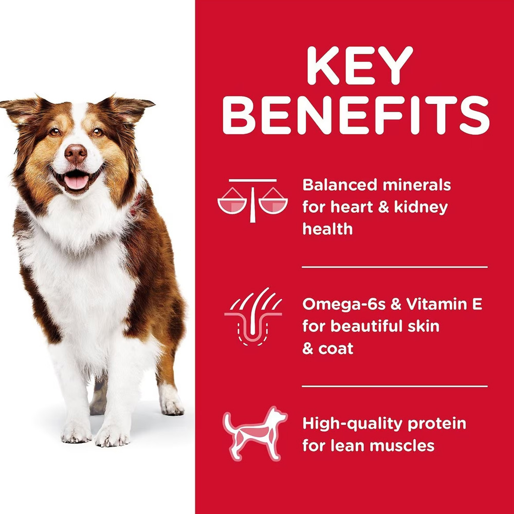 HILLS-SCIENCE-DIET-ADULT-7-CHICKEN-RICE-BARLEY-DRY-DG-FD-5LB