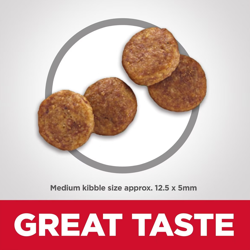 HILLS-SCIENCE-DIET-SENIOR-CHCKN-DRY-DOG-FD-22B