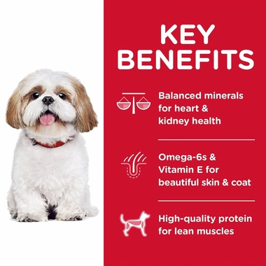 HILLS-SCIENCE-DIET-ADULT-7-SMBITES-CHICKEN-BARLEY-RICE-DRY-DG-FD-5LB