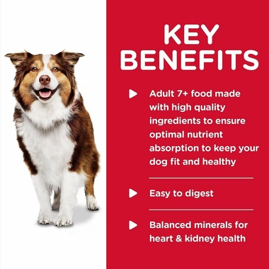 HILLS-SCIENCE-DIET-ADLT-7-TURKEY-BARLEY-CAN-DOG-FD-13OZX12