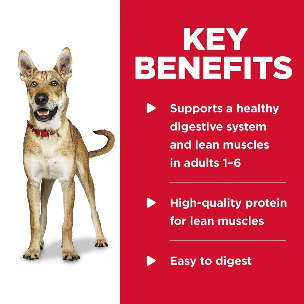 HILLS-SCIENCE-DIET-BF-BRLEY-CAN-DOG-FD-13OZX12