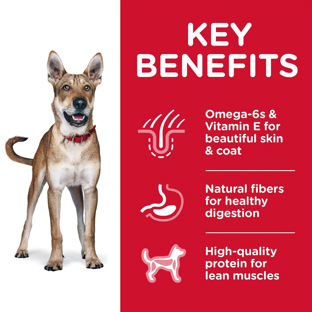 HILLS-SCIENCE-DIET-ADULT-CHICKEN-BARLEY-DRY-DOG-FD-5LB