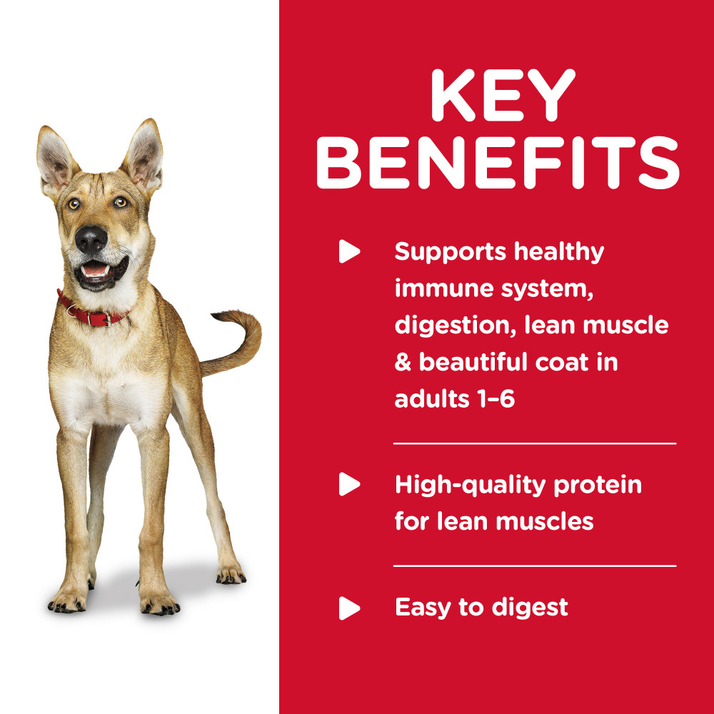 HILLS-SCIENCE-DIET-CHCKN-BF-CAN-DOG-FD-13OZX12