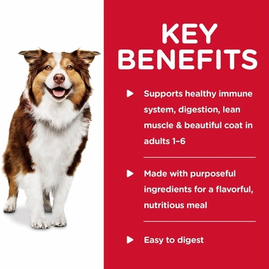 HILLS-SCIENCE-DIET-ADULT--CHICKEN-CARRTS-SPINACH-STEW-WET-DOG-FD-12X12