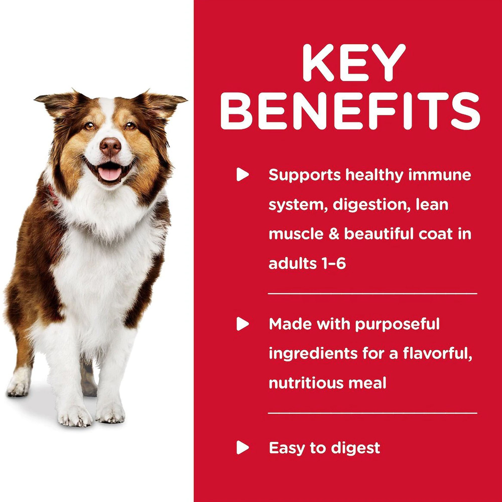 HILLS-SCIENCE-DIET-ADULT--CHICKEN-CARRTS-SPINACH-STEW-WET-DOG-FD-12X12