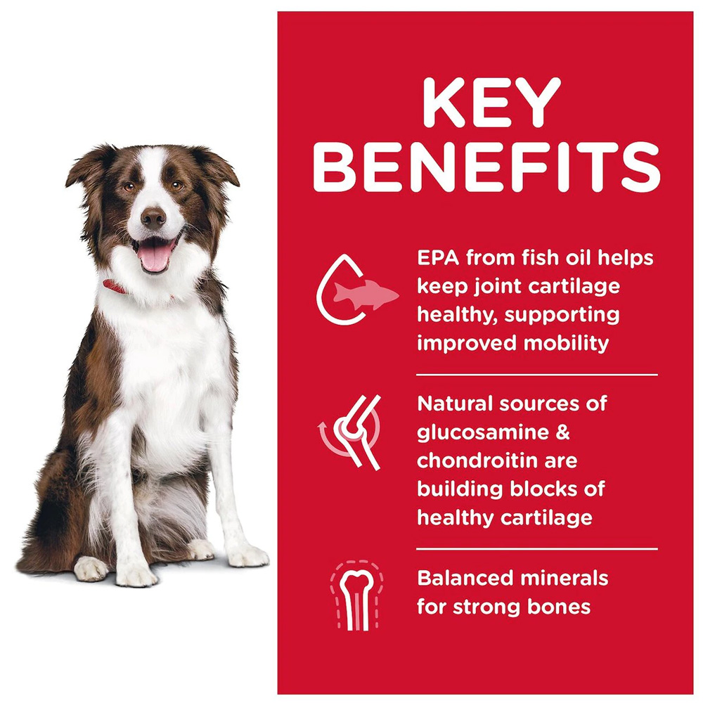 HILLS-SCIENCE-DIET-ADULT-HEALTHY-MOBILITY-LG-BREED-CHICKEN-RICE-DRY-DOG-FD-30LB