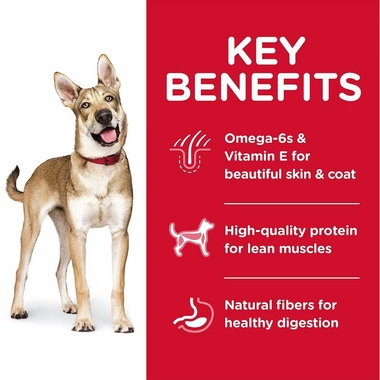 HILLS-SCIENCE-DIET-ADULT-LAMB-MEAL-BROWN-RICE-DRY-DOG-FD-15LB