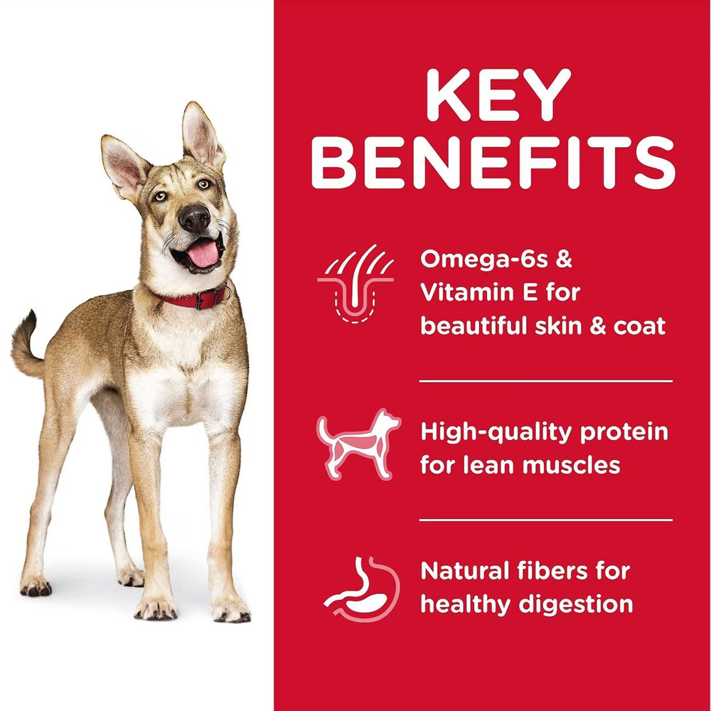 HILLS-SCIENCE-DIET-ADULT-LAMB-MEAL-BROWN-RICE-DRY-DOG-FD-33LB