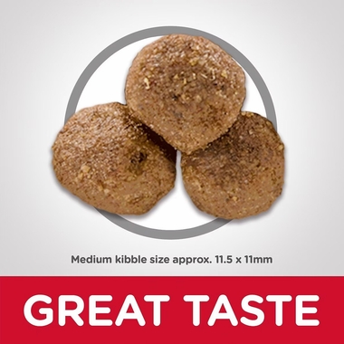 HILLS-SCIENCE-DIET-ADULT-LAMB-MEAL-BROWN-RICE-DRY-DOG-FD-33LB