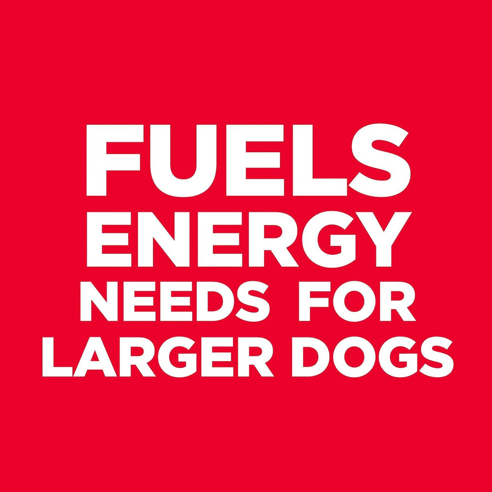 HILLS-SCIENCE-DIET-ADULT-LGBREED-CHICKEN-BARLEY-DRY-DOG-FD-15LB