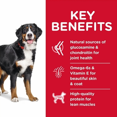 HILLS-SCIENCE-DIET-ADULT-LGBREED-CHICKEN-BARLEY-DRY-DOG-FD-15LB
