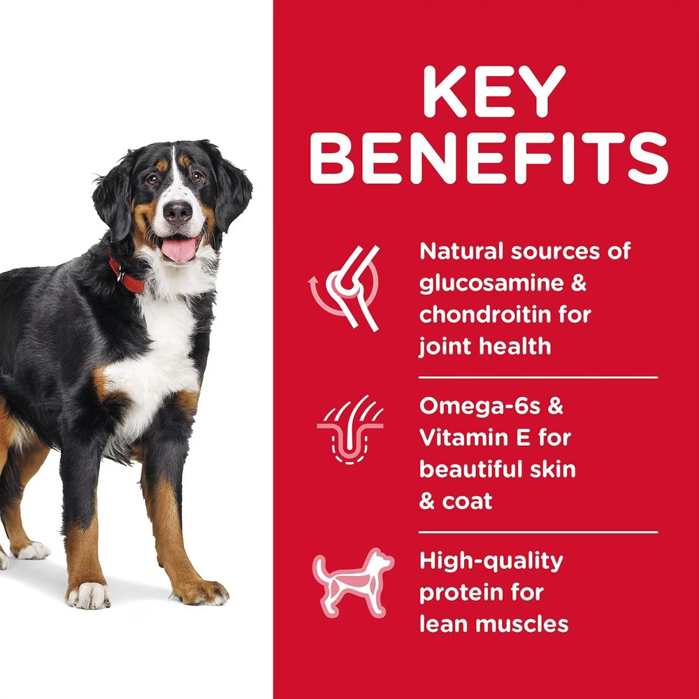HILLS-SCIENCE-DIET-ADULT-LGBREED-CHICKEN-BARLEY-DRY-DOG-FD-15LB