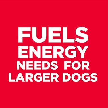 HILLS-SCIENCE-DIET-ADULT-LGBREED-LAMB-MEAL-BROWN-RICE-DRY-DOG-FD-33LB