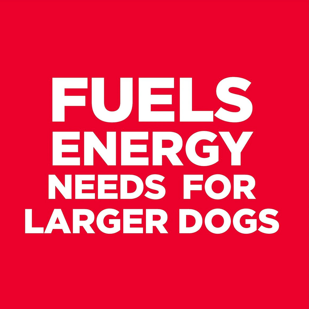 HILLS-SCIENCE-DIET-ADULT-LGBREED-LAMB-MEAL-BROWN-RICE-DRY-DOG-FD-33LB