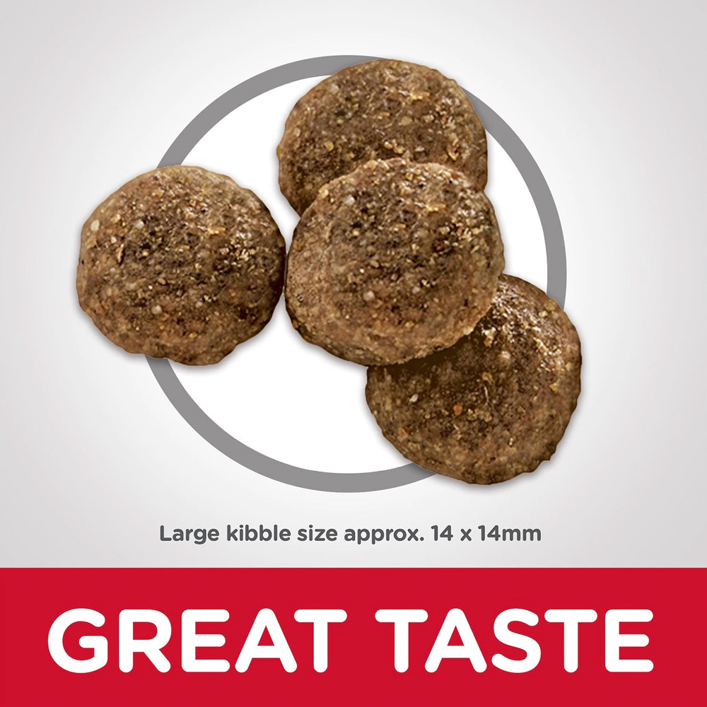 HILLS-SCIENCE-DIET-ADULT-LGBREED-LAMB-MEAL-BROWN-RICE-DRY-DOG-FD-33LB