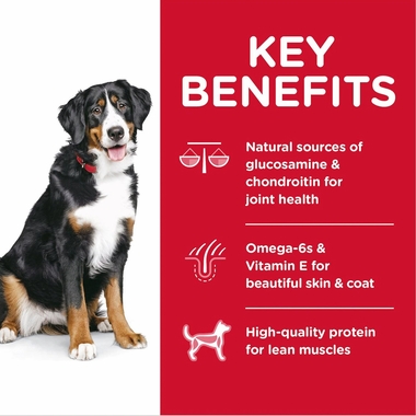 HILLS-SCIENCE-DIET-ADULT-LGBREED-LAMB-MEAL-BROWN-RICE-DRY-DOG-FD-33LB