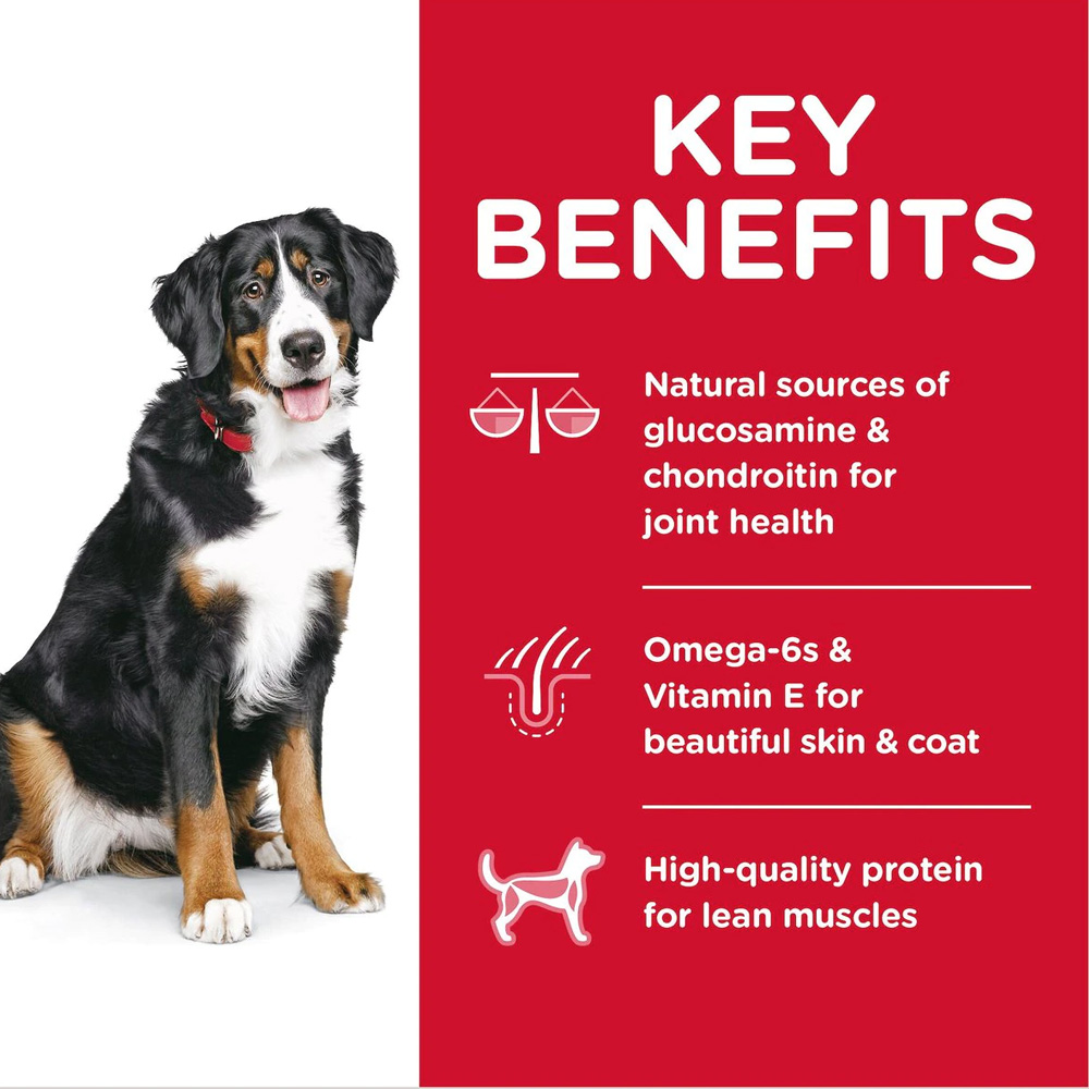 HILLS-SCIENCE-DIET-ADULT-LGBREED-LAMB-MEAL-BROWN-RICE-DRY-DOG-FD-33LB