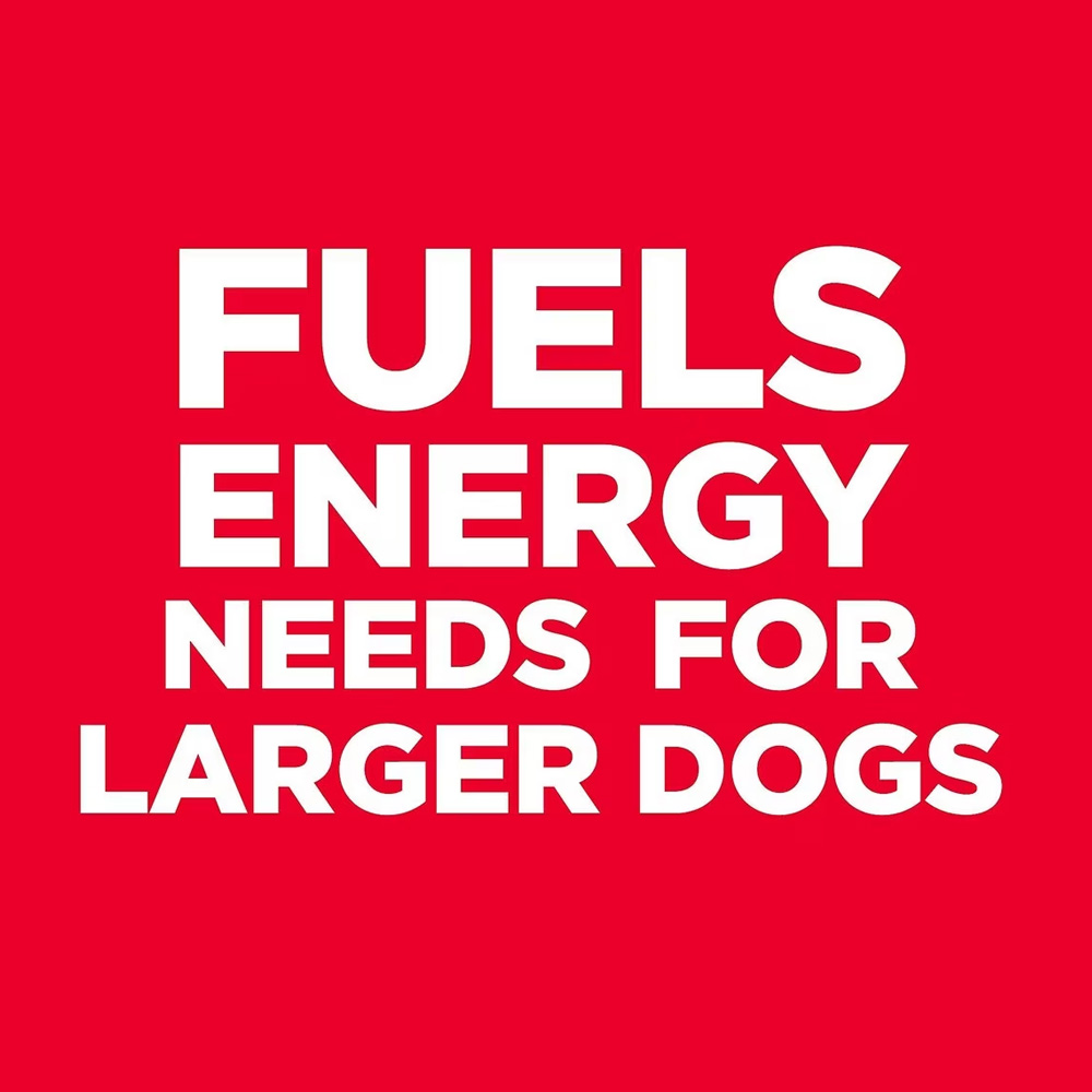 HILLS-SCIENCE-DIET-ADULT-LGBREED-LIGHT-CHICKEN-MEAL-BARLEY-DRY-DOG-FD-30LB