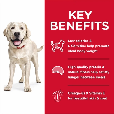 HILLS-SCIENCE-DIET-ADULT-LGBREED-LIGHT-CHICKEN-MEAL-BARLEY-DRY-DOG-FD-30LB