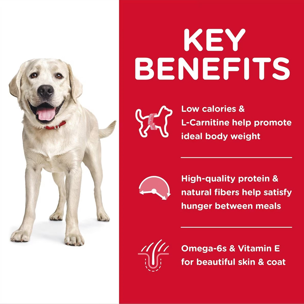 HILLS-SCIENCE-DIET-ADULT-LGBREED-LIGHT-CHICKEN-MEAL-BARLEY-DRY-DOG-FD-30LB