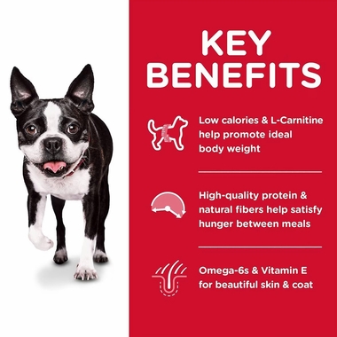 HILLS-SCIENCE-DIET-ADULT-LIGHT-SMBITES-CHICKEN-MEAL-BARLEY-DRY-DOG-FD-5LB