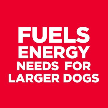 HILLS-SCIENCE-DIET-ADULT-LIGHT-LIVER-WET-DOG-FD-13X12