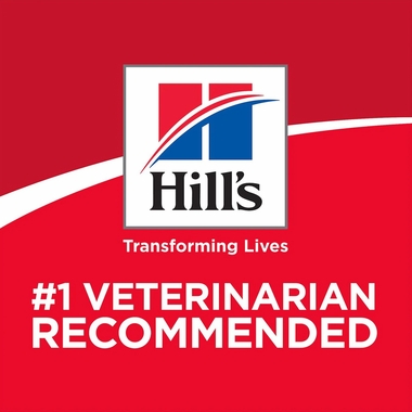 HILLS-SCIENCE-DIET-PRFCT-DIGST-LG-BRD-CHCKN-DRY-DOG-FD-12LB