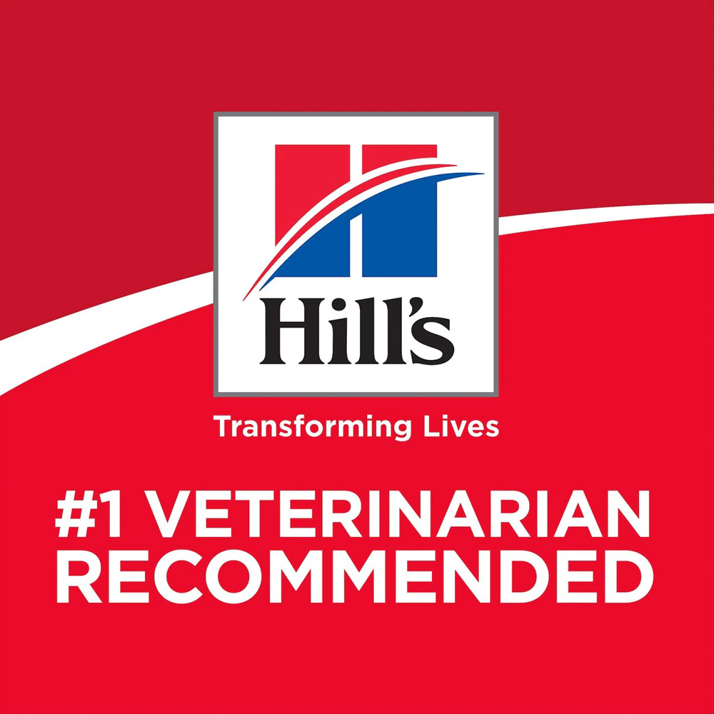 HILLS-SCIENCE-DIET-PRFCT-DIGST-LG-BRD-CHCKN-DRY-DOG-FD-12LB