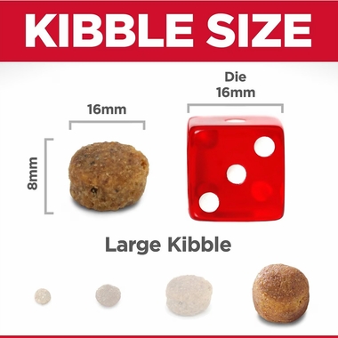 HILLS-SCIENCE-DIET-PRFCT-DIGST-LG-BRD-CHCKN-DRY-DOG-FD-22LB