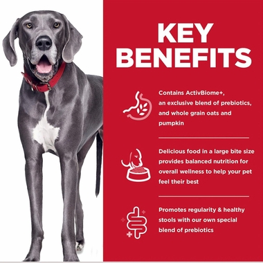 HILLS-SCIENCE-DIET-PRFCT-DIGST-LG-BRD-CHCKN-DRY-DOG-FD-22LB