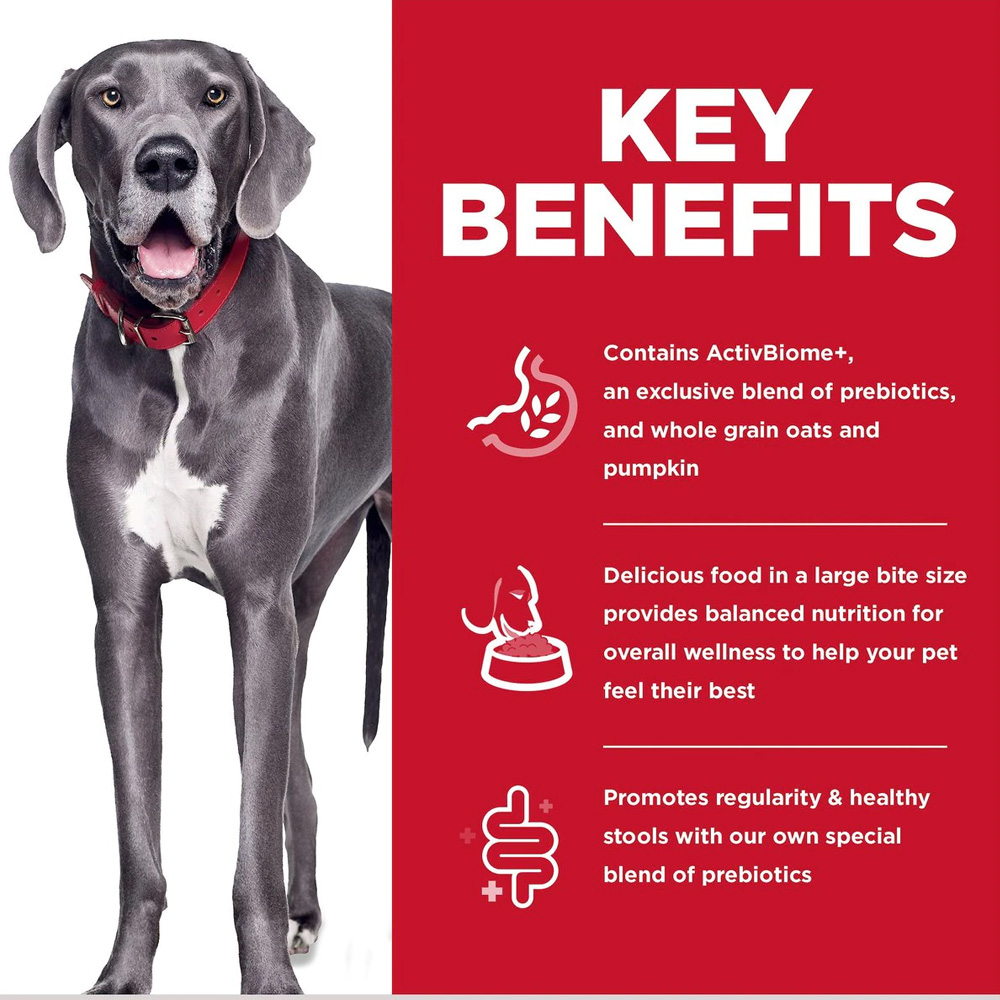 HILLS-SCIENCE-DIET-PRFCT-DIGST-LG-BRD-CHCKN-DRY-DOG-FD-22LB