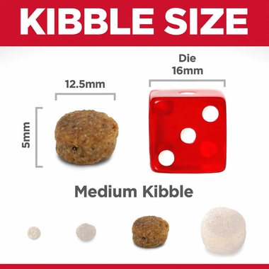 HILLS-SCIENCE-DIET-PRFCT-DIGST-SALMN-DRY-DOG-FD-12LB